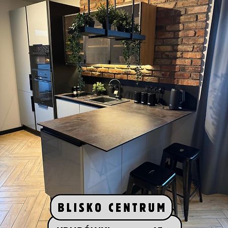 Apartamenty Szary Wilk - Klimatyczne Apartamenty Dla 2 Osob - Blisko Centrum -Bezplatny Parking Zakopane Exteriör bild