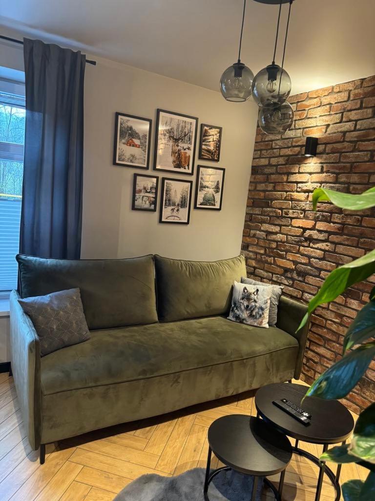 Apartamenty Szary Wilk - Klimatyczne Apartamenty Dla 2 Osob - Blisko Centrum -Bezplatny Parking Zakopane Exteriör bild