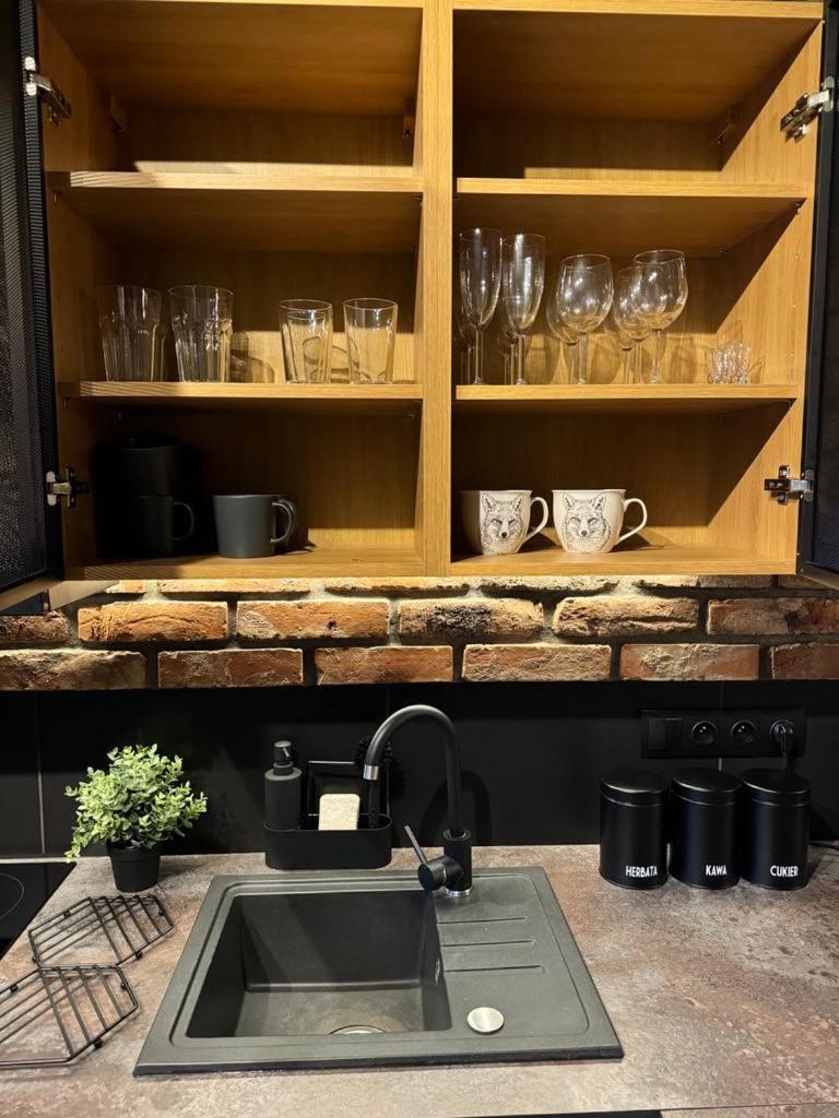 Apartamenty Szary Wilk - Klimatyczne Apartamenty Dla 2 Osob - Blisko Centrum -Bezplatny Parking Zakopane Exteriör bild