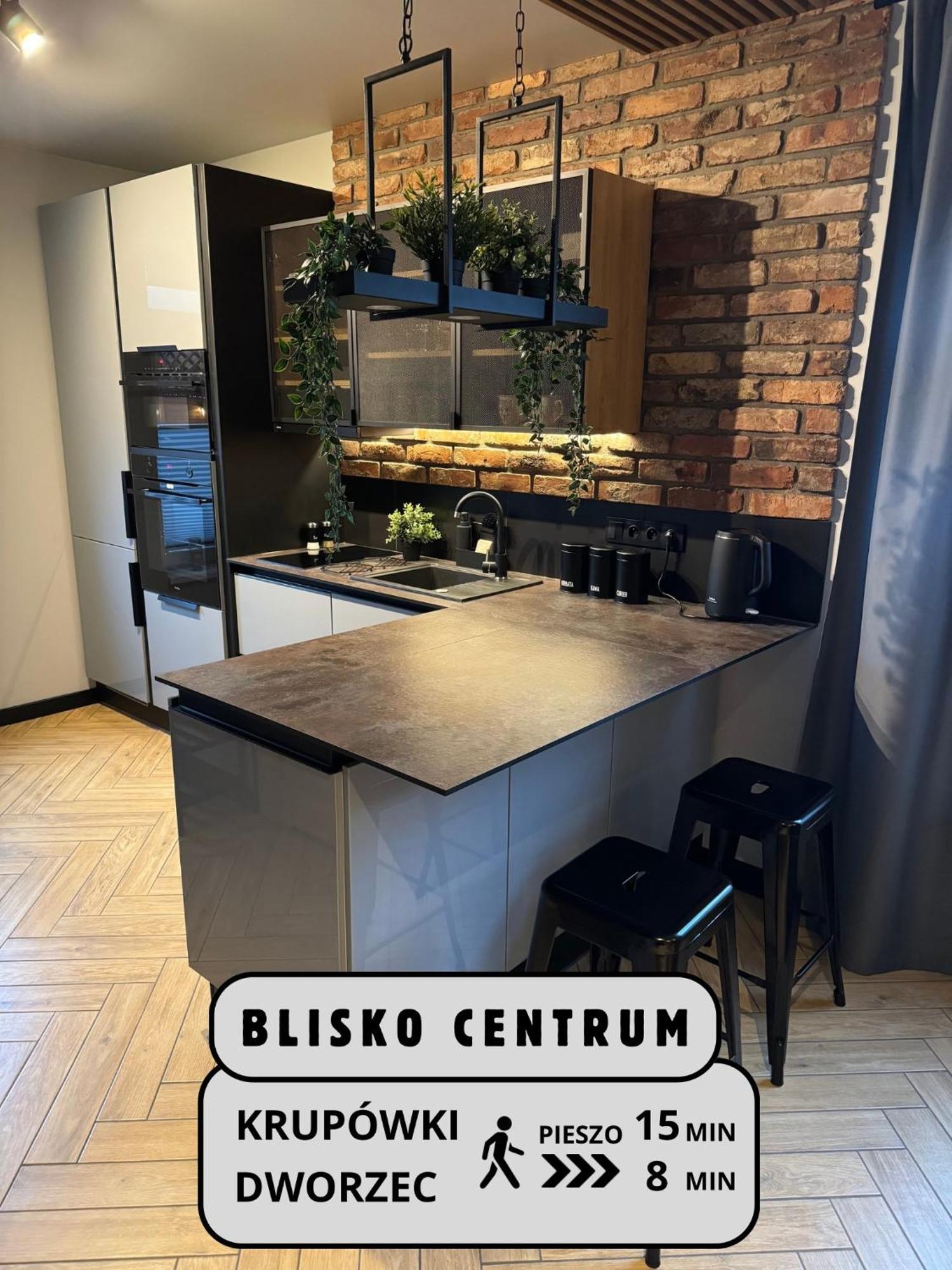Apartamenty Szary Wilk - Klimatyczne Apartamenty Dla 2 Osob - Blisko Centrum -Bezplatny Parking Zakopane Exteriör bild